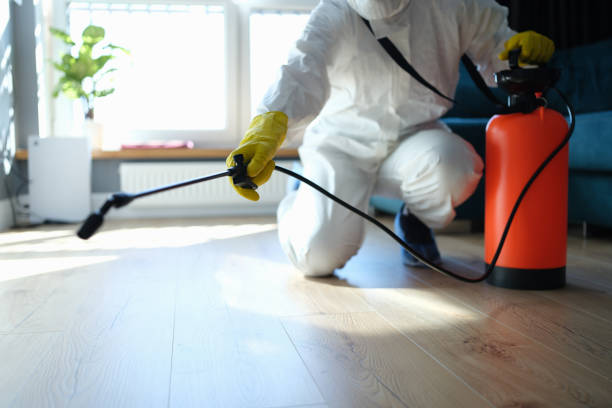 Reliable Odor Removal contractor in Corcoran, CA by Trauma Clean Pros